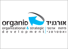 עיצוב לוגו לחברה העוסקת בייעוץ ארגוני